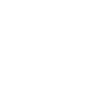 Irina Vovsik Logo white